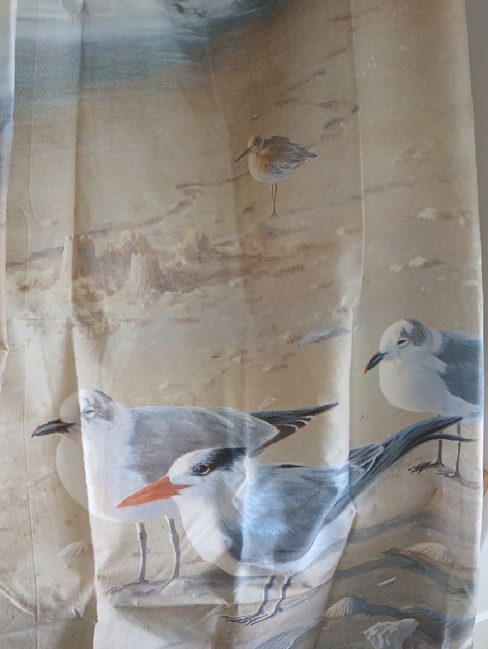 James Hautman Cotton Polyester Shower Curtain Coastal Shoreline Birds Lighthouse